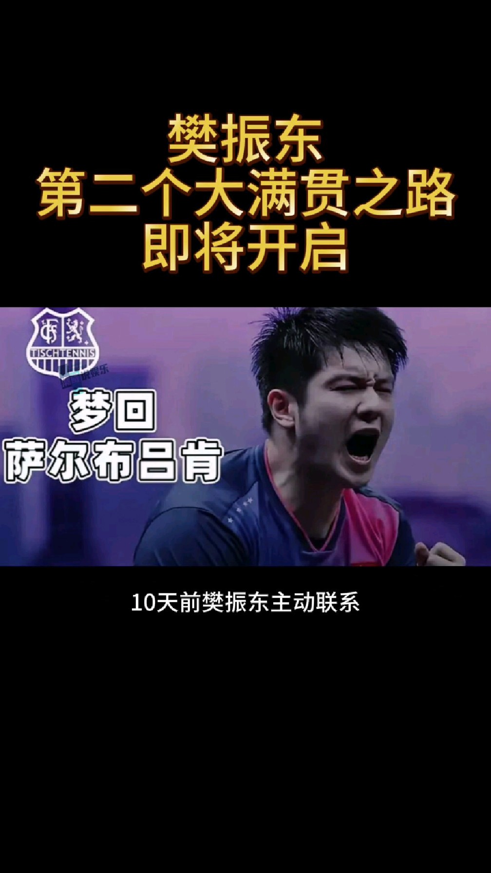 樊振东效应！萨尔布吕肯俱乐部增设临时看台的简单介绍