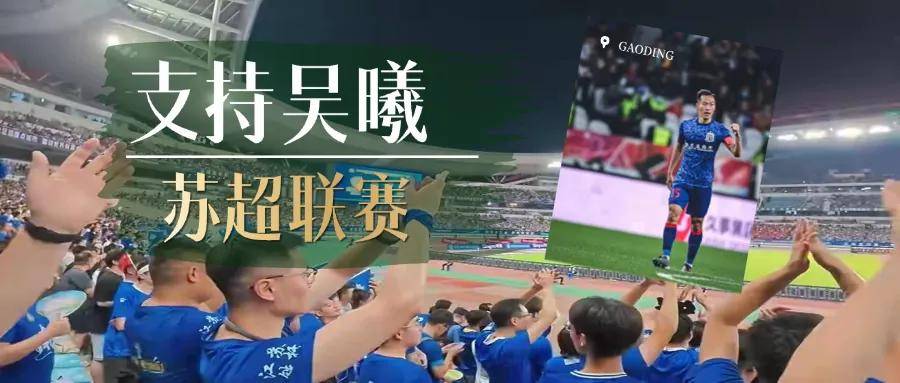 关于鲁能客场不敌江苏苏宁，近期战绩起伏不定的信息